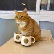 ヒメ日記 2025/11/11 12:39 投稿 チェリー 鶯谷デッドボール