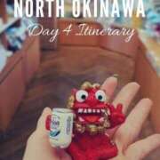 ヒメ日記 2025/11/13 04:19 投稿 チェリー 鶯谷デッドボール