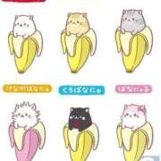 ヒメ日記 2025/11/22 11:59 投稿 チェリー 鶯谷デッドボール