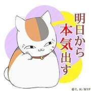 ヒメ日記 2025/11/24 11:46 投稿 チェリー 鶯谷デッドボール