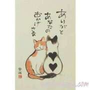 ヒメ日記 2025/11/27 14:35 投稿 チェリー 鶯谷デッドボール