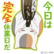 ヒメ日記 2025/11/28 09:49 投稿 チェリー 鶯谷デッドボール