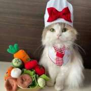 ヒメ日記 2025/11/29 15:50 投稿 チェリー 鶯谷デッドボール