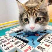 ヒメ日記 2025/12/03 11:59 投稿 チェリー 鶯谷デッドボール