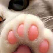 ヒメ日記 2025/12/06 09:49 投稿 チェリー 鶯谷デッドボール