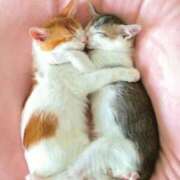 ヒメ日記 2025/12/07 10:12 投稿 チェリー 鶯谷デッドボール