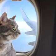 ヒメ日記 2025/12/16 10:29 投稿 チェリー 鶯谷デッドボール