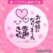 ヒメ日記 2025/12/26 14:55 投稿 チェリー 鶯谷デッドボール