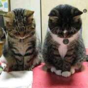 ヒメ日記 2025/12/27 15:49 投稿 チェリー 鶯谷デッドボール