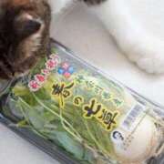 ヒメ日記 2026/01/07 08:39 投稿 チェリー 鶯谷デッドボール