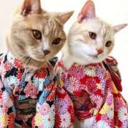 ヒメ日記 2026/01/12 08:09 投稿 チェリー 鶯谷デッドボール