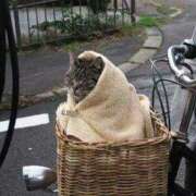 ヒメ日記 2026/01/13 13:40 投稿 チェリー 鶯谷デッドボール