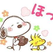 ヒメ日記 2026/01/18 06:39 投稿 チェリー 鶯谷デッドボール