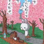 ヒメ日記 2026/01/19 11:39 投稿 チェリー 鶯谷デッドボール