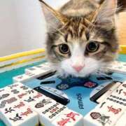 ヒメ日記 2026/01/22 04:49 投稿 チェリー 鶯谷デッドボール