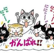ヒメ日記 2026/01/25 14:51 投稿 チェリー 鶯谷デッドボール