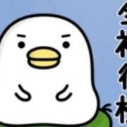 ヒメ日記 2026/01/31 05:49 投稿 チェリー 鶯谷デッドボール