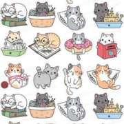 ヒメ日記 2026/02/05 16:59 投稿 チェリー 鶯谷デッドボール