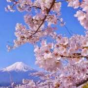 ヒメ日記 2026/02/09 10:49 投稿 チェリー 鶯谷デッドボール