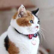 ヒメ日記 2026/02/11 12:50 投稿 チェリー 鶯谷デッドボール