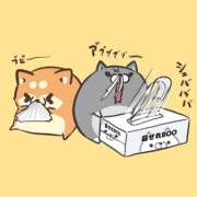 ヒメ日記 2026/02/17 04:59 投稿 チェリー 鶯谷デッドボール