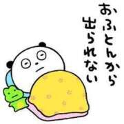 ヒメ日記 2026/02/19 11:29 投稿 チェリー 鶯谷デッドボール