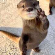 ヒメ日記 2026/02/20 04:59 投稿 チェリー 鶯谷デッドボール