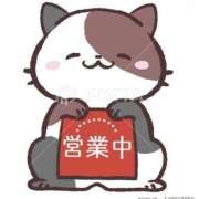 ヒメ日記 2026/02/20 11:40 投稿 チェリー 鶯谷デッドボール