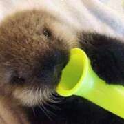 ヒメ日記 2026/02/22 05:19 投稿 チェリー 鶯谷デッドボール