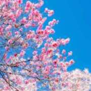 ヒメ日記 2026/03/05 15:37 投稿 チェリー 鶯谷デッドボール