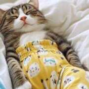 ヒメ日記 2026/04/14 07:21 投稿 チェリー 鶯谷デッドボール