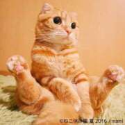 ヒメ日記 2026/04/15 11:19 投稿 チェリー 鶯谷デッドボール