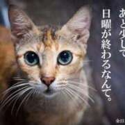 ヒメ日記 2026/04/19 20:29 投稿 チェリー 鶯谷デッドボール