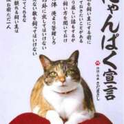 ヒメ日記 2026/04/20 12:11 投稿 チェリー 鶯谷デッドボール