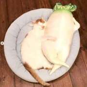 ヒメ日記 2026/04/21 16:11 投稿 チェリー 鶯谷デッドボール