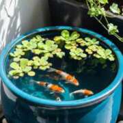 ヒメ日記 2026/04/22 05:09 投稿 チェリー 鶯谷デッドボール