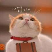 ヒメ日記 2026/04/23 10:10 投稿 チェリー 鶯谷デッドボール