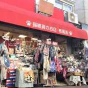 ヒメ日記 2026/04/25 05:29 投稿 チェリー 鶯谷デッドボール