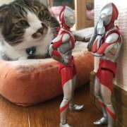 ヒメ日記 2026/04/26 12:49 投稿 チェリー 鶯谷デッドボール