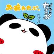 ヒメ日記 2026/05/12 16:19 投稿 チェリー 鶯谷デッドボール