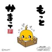 ヒメ日記 2026/05/15 18:09 投稿 チェリー 鶯谷デッドボール