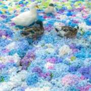 ヒメ日記 2026/05/30 15:09 投稿 チェリー 鶯谷デッドボール