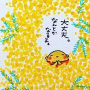 ヒメ日記 2026/06/19 04:49 投稿 チェリー 鶯谷デッドボール