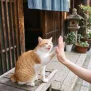 ヒメ日記 2026/08/31 13:19 投稿 チェリー 鶯谷デッドボール