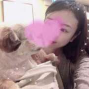 ヒメ日記 2025/02/07 22:02 投稿 宮間さき Tokyo fairy land-東京フェアリーランド-