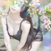 ヒメ日記 2025/03/22 03:14 投稿 宮間さき Tokyo fairy land-東京フェアリーランド-