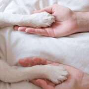 ヒメ日記 2025/11/08 19:09 投稿 朝比奈花怜 セレブショップ新宿（東京ハレ系）