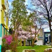 ヒメ日記 2025/05/04 13:28 投稿 みお【新人割引期間中】 クリスタル