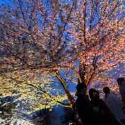 ヒメ日記 2025/05/04 15:46 投稿 みお【新人割引期間中】 クリスタル