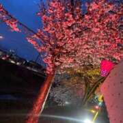 ヒメ日記 2025/05/16 10:07 投稿 みお【新人割引期間中】 クリスタル